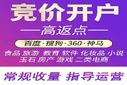 某电商平台的SEM推广实践与效果展示